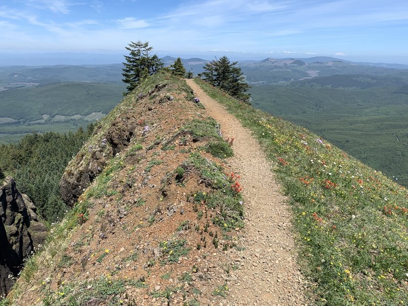 Saddle Mountain: Your Southern California Adventure Awaits!