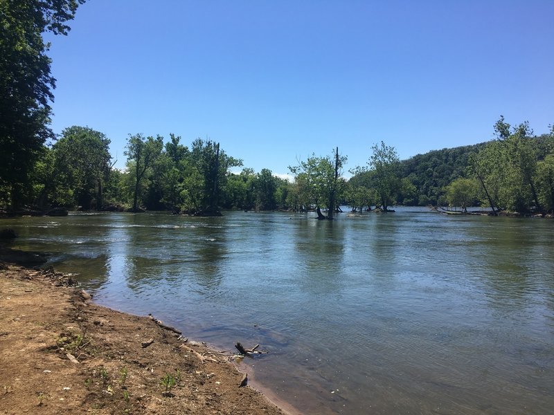 View downstream from sandy shore of the Potomac River.