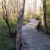 Boardwalk at Wetland Trail - River Park.