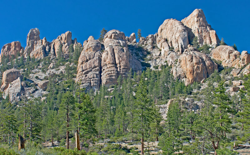 Church Dome, although "Church Spires" might be a better name. The highest Pinnacle is Class 5 via the easiest route. The pinnacle on the left is Class 5.5. Climbers have given names to twelve of the formations in this picture.