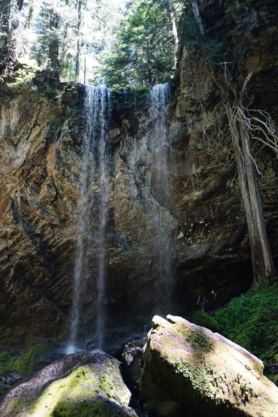 Grotto Falls, early June 2019.