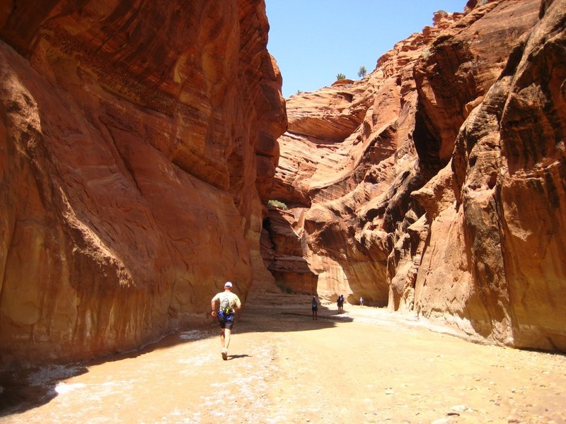 white house trailhead and campground