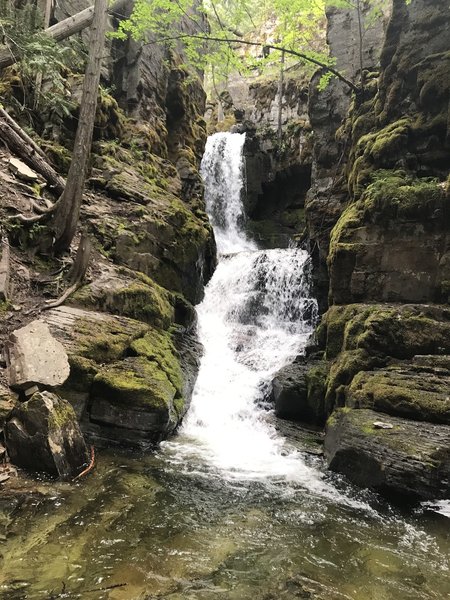 50-foot falls at the end of the trail.