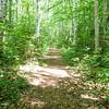 The trail narrows after crossing the gate at the Franconia Brook tent site, and remains a singletrack trail to the end.