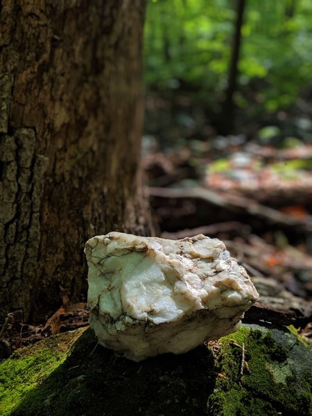 Picturesque piece of quartz along the Jane Trail