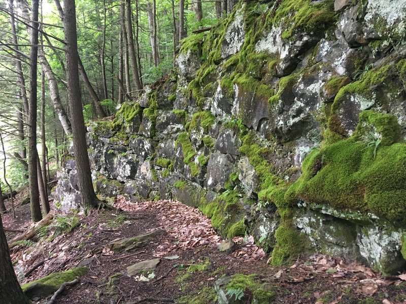 This is one of the rock walls along the Mahican - Mohawk Trail.