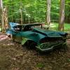 The namesake of the Chevrolet Trail, an old car left in the middle of a forest.