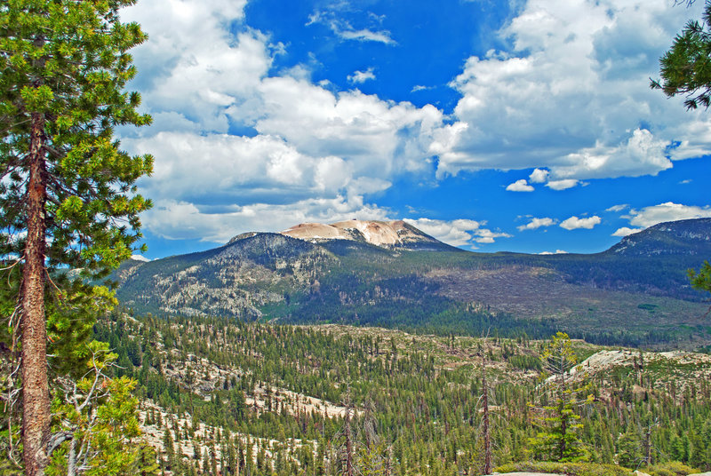 Mammoth Mountain from Summit Meadow Trail