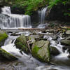 R.B Ricketts Falls in Ricketts Glen State Park, Pennsylvania
