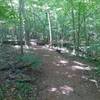 Relaxing trail