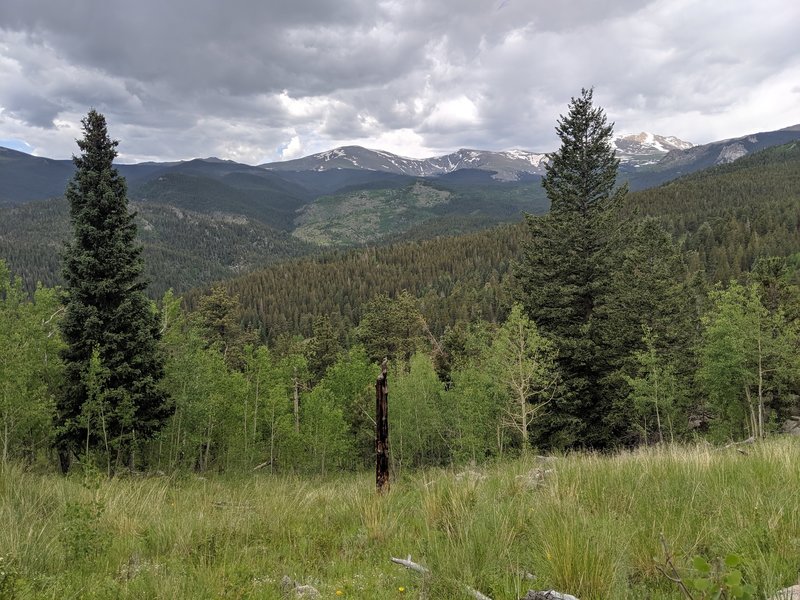 View from one of the many meadows on Captain Mountain Trail