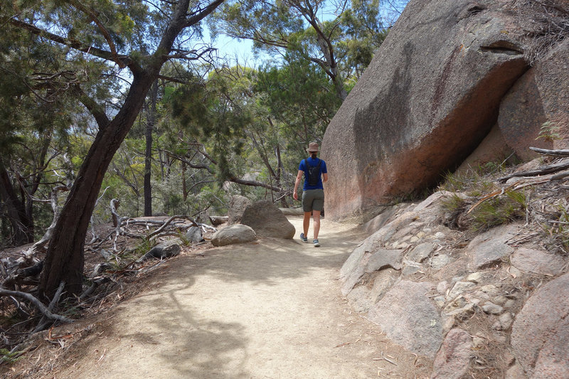 Hiker on the Wineglass Bay Lookout track