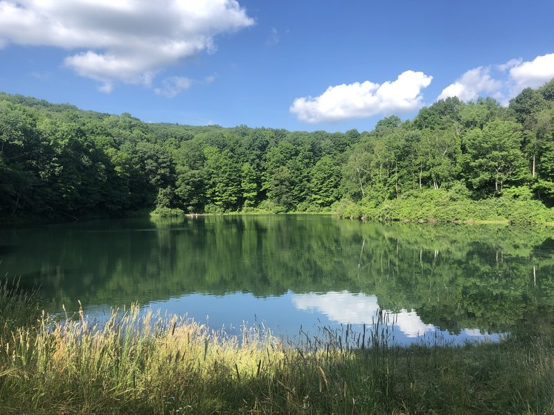 Iron Mine Pond