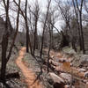 Early spring in Kolob Canyon