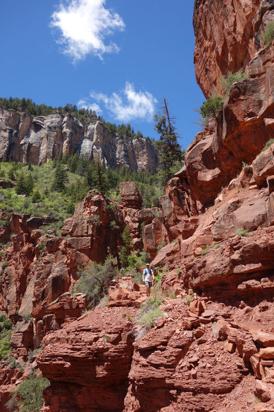 Hiker with a view on the North Kaibab trail