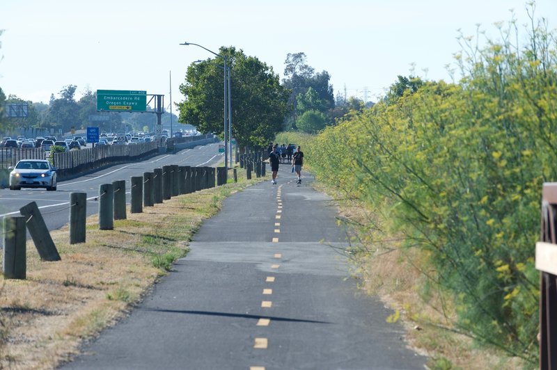 When the trail reaches Bayshore Road, the trail is concrete and runs along the highway for a short distance before heading back into the marshlands.