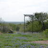 Homestead trailhead surrounded by beautiful bluebonnets.