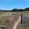 Fort Ord National Monument Trail 69 at Hennekens Ranch Rd