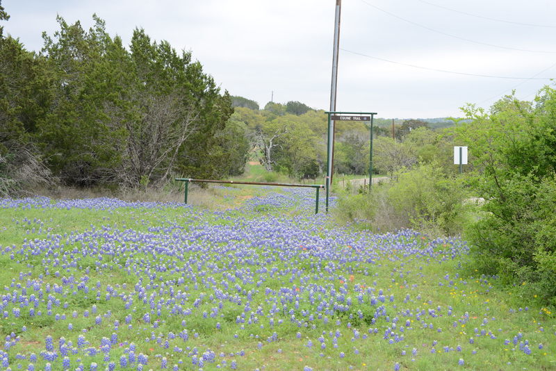Equine Trail back in the spring when bluebonnets were in full bloom! Great trail!