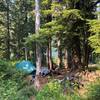 Deer Lake campsite #8