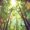 Beautiful trail!