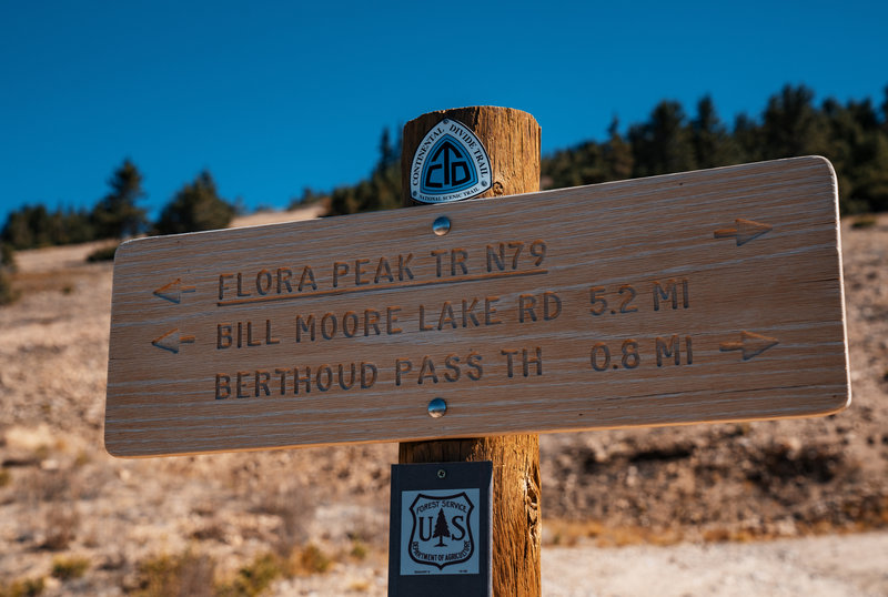 Continental Divide Trail (CDT) at Flora Peak, Colorado