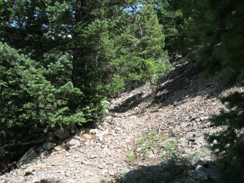 Silver Creek Wagon Trail