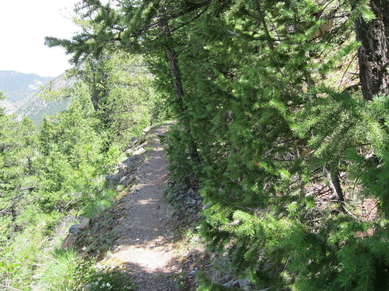 Silver Creek Wagon Trail