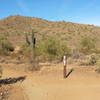 Easily viewed trail marker. Left Ocotillo, right Apache Wash Loop.