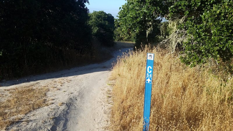 Monterey County Trail 54