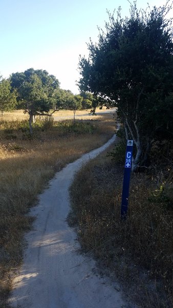 Monterey County Trail 56