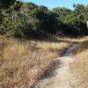 Monterey County Trail 90