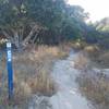 Monterey County Trail 92