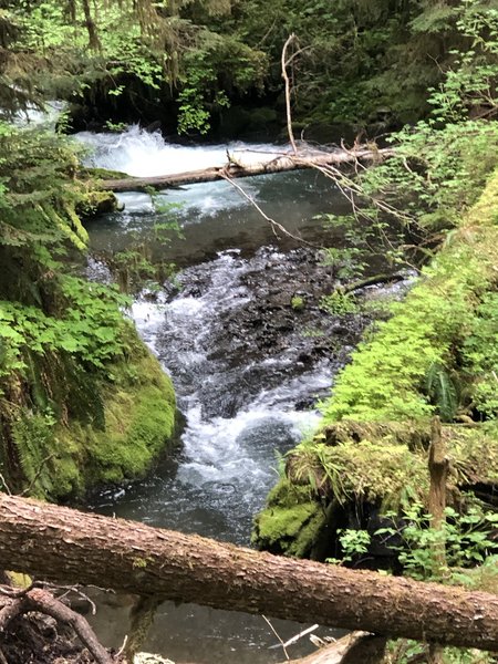 Little River is awe-inspiring. Wonderful trail.