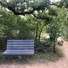 There are many benches along the trail to stop and take a break at.