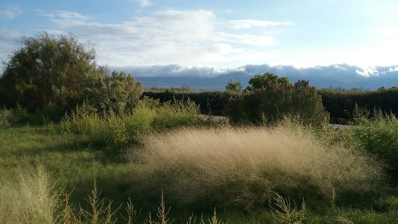 View of the Rio Grande Valley