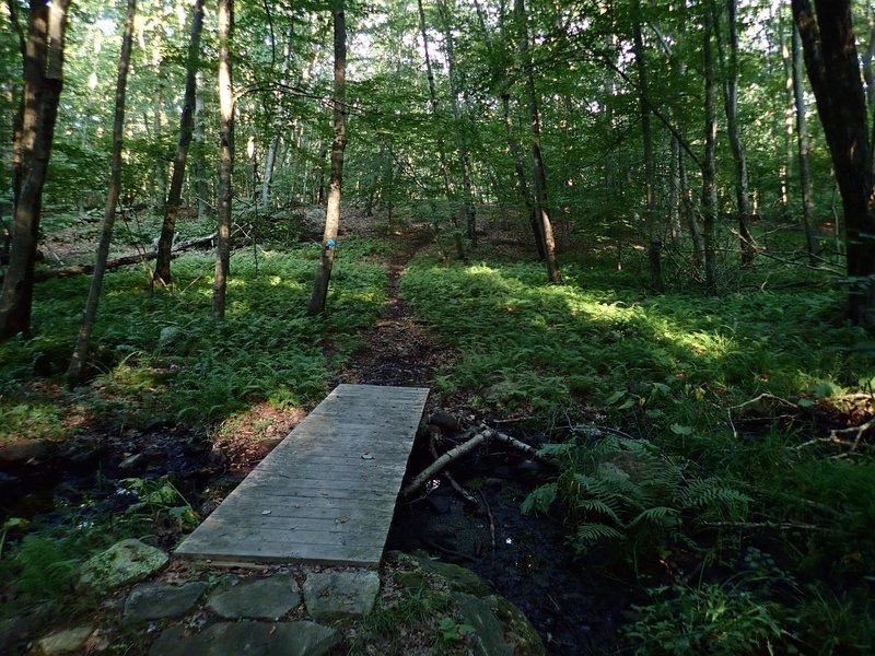 One of the small bridges on the Blue Trail