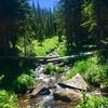 Creek along the Columbine Lake Trail, July 29, 2019.