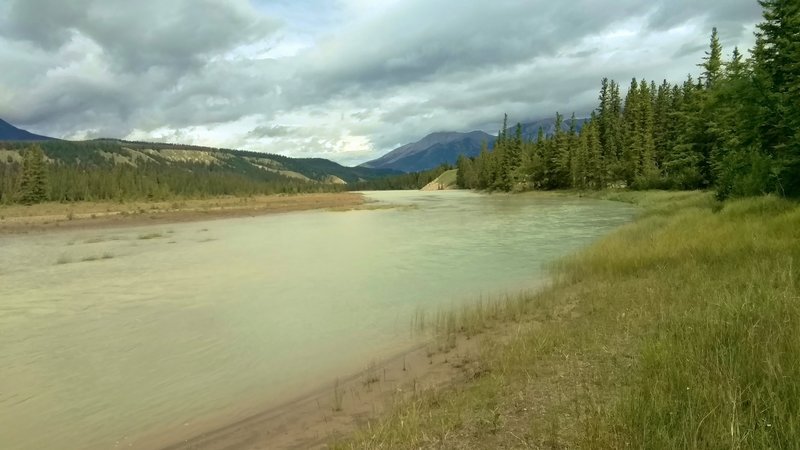 A side channel of the Athabasca River rounds a bend to join the main channel, looking north from Athabasca River Trail.