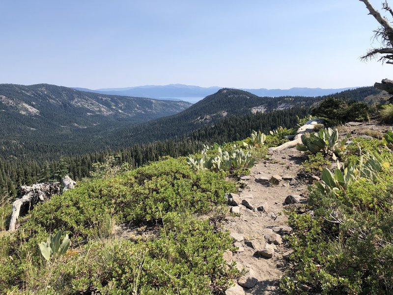 Ellis Peak Trail