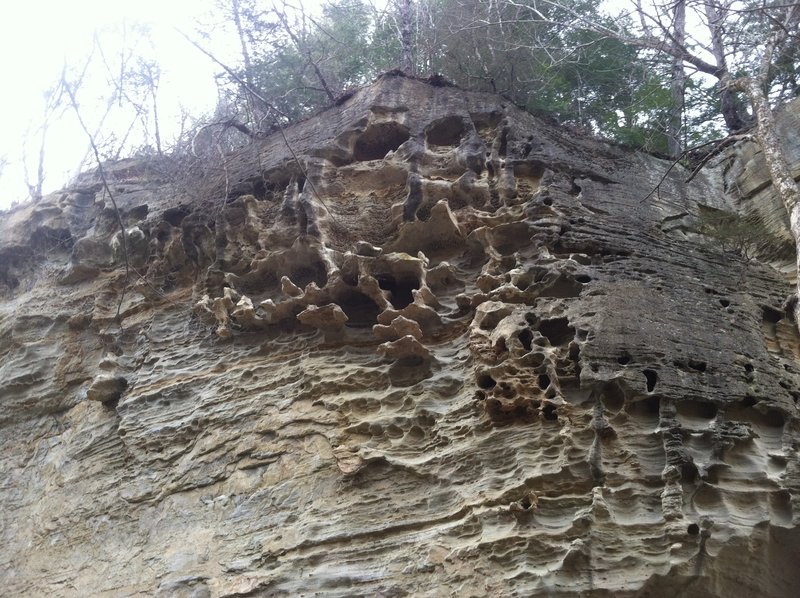 Honeycomb Rock
