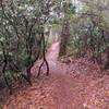 Singletrack