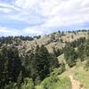 20 minutes into the Sypes Canyon trail