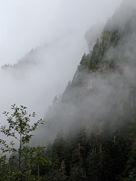 Even shrouded in heavy clouds and fog, the views in the Enchanted Valley were stunning! Taken on August 9, 2019.