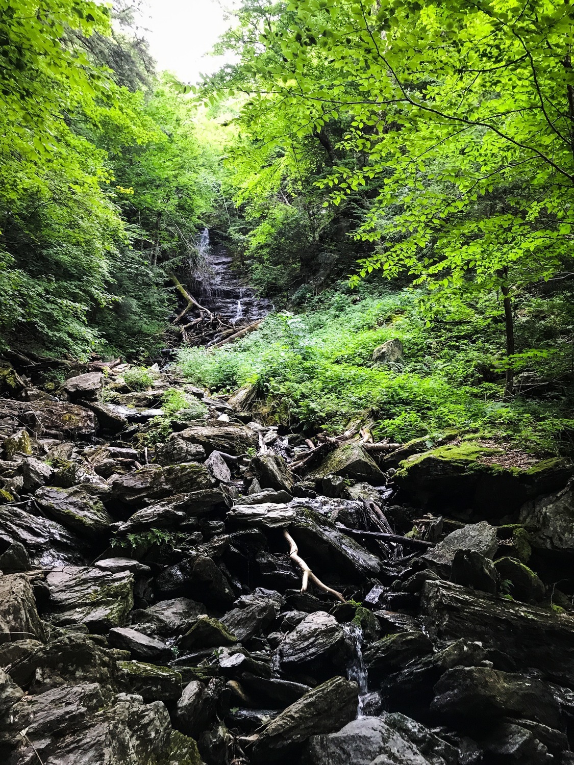 Money Brook Falls