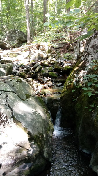Small waterfall on the North Fork Thornton River
