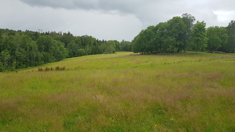Fields of near Holt gård
