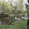Fishing for golden retrievers in Ellicott Creek at Audubon Town Park Trail