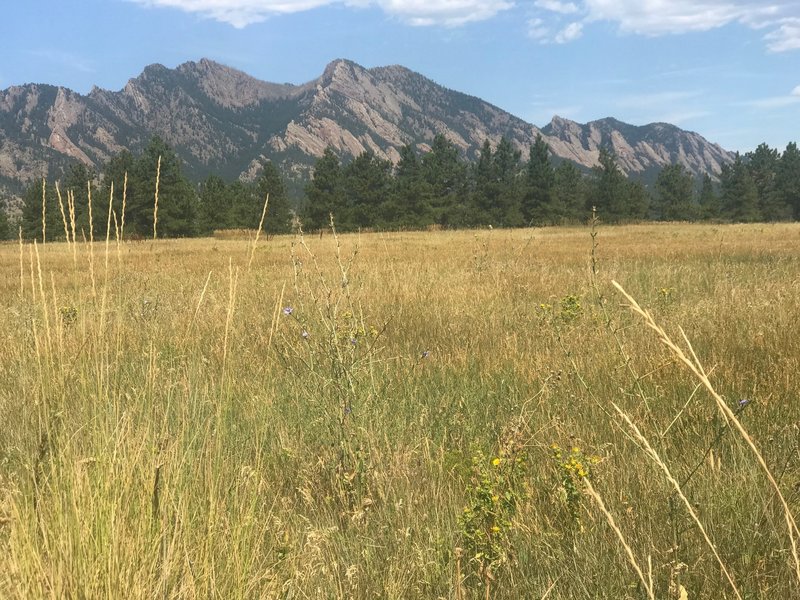 Flatiron Vista Trail
