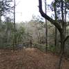Scenic Overlook of North Fork of Black Creek - Pioneer Trail, Jennings State Forest